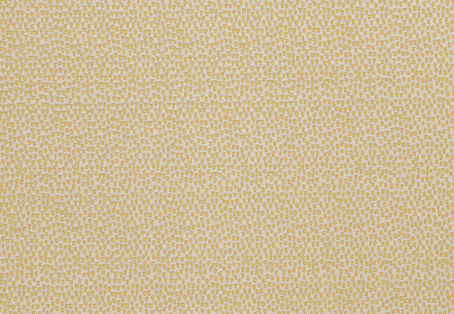 Ткань Fabricut Modern Nuances Vol.II Sesame Mcdibbs/Daisy