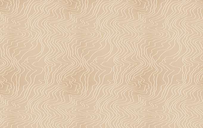 Американская ткань Fabricut, коллекция Modern Nuances Vol.II Sesame, артикул Contour lines/Natural sparkle