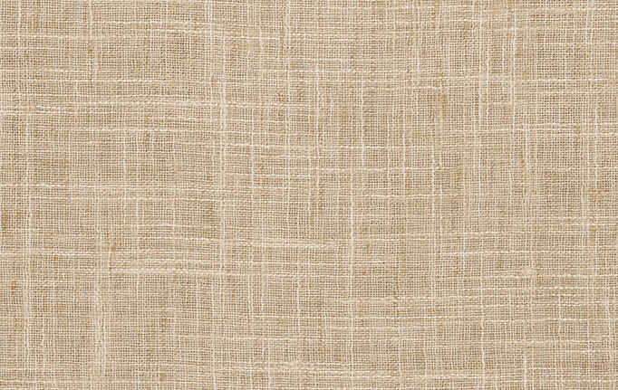 Американская ткань Fabricut, коллекция Statement Sheers Flax, артикул Sinovia/Flax