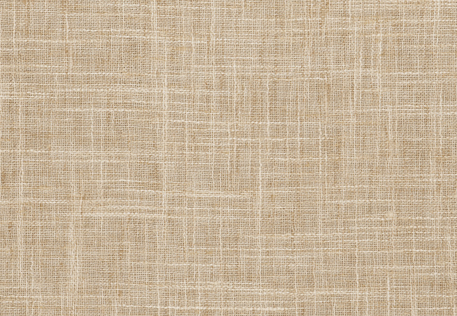Ткань Fabricut Statement Sheers Flax Sinovia/Flax