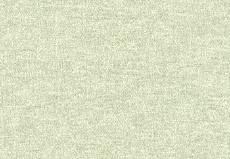 Обои Rasch Country Charme 447538