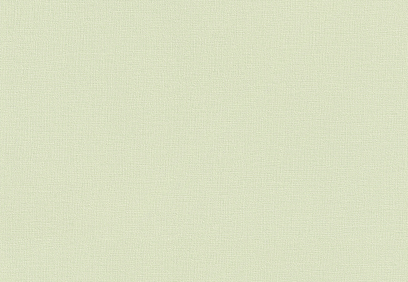 Обои Rasch Country Charme 447538