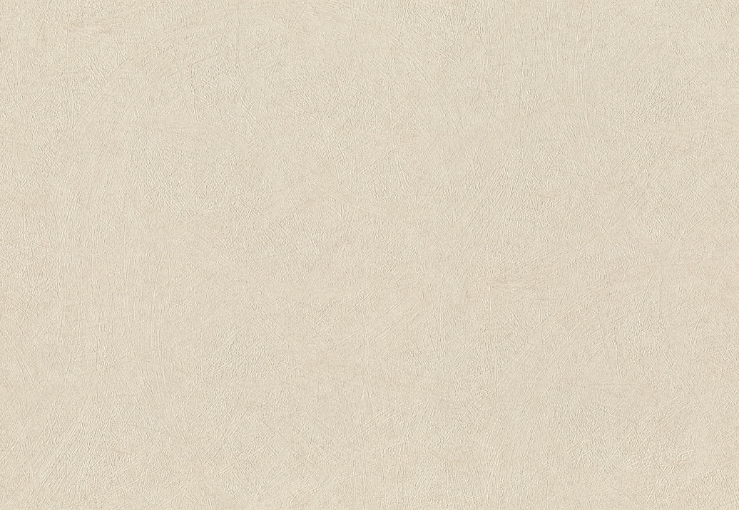 Обои Rasch Wall Textures XL Vol3 947465