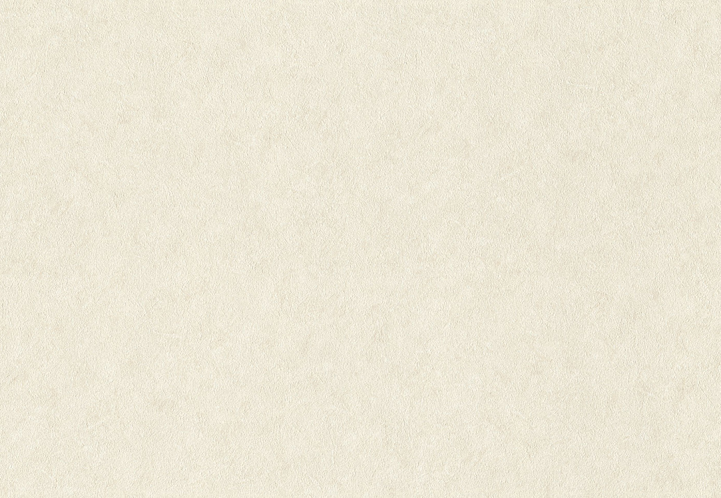 Обои Rasch Wall Textures XL Vol3 947649