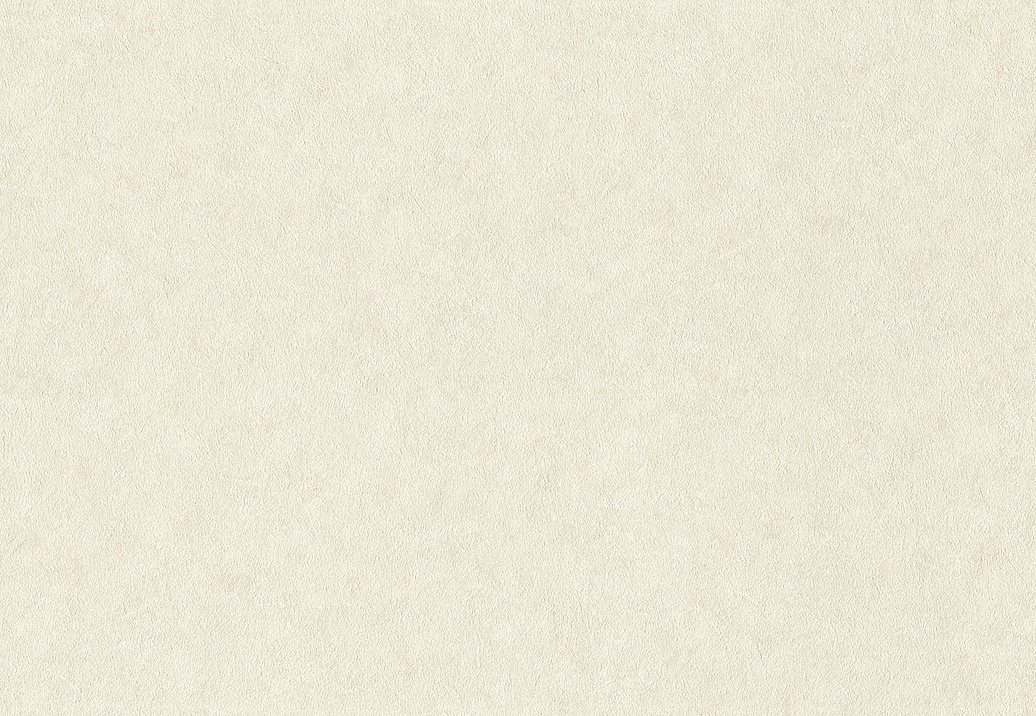 Обои Rasch Wall Textures XL Vol3 947649