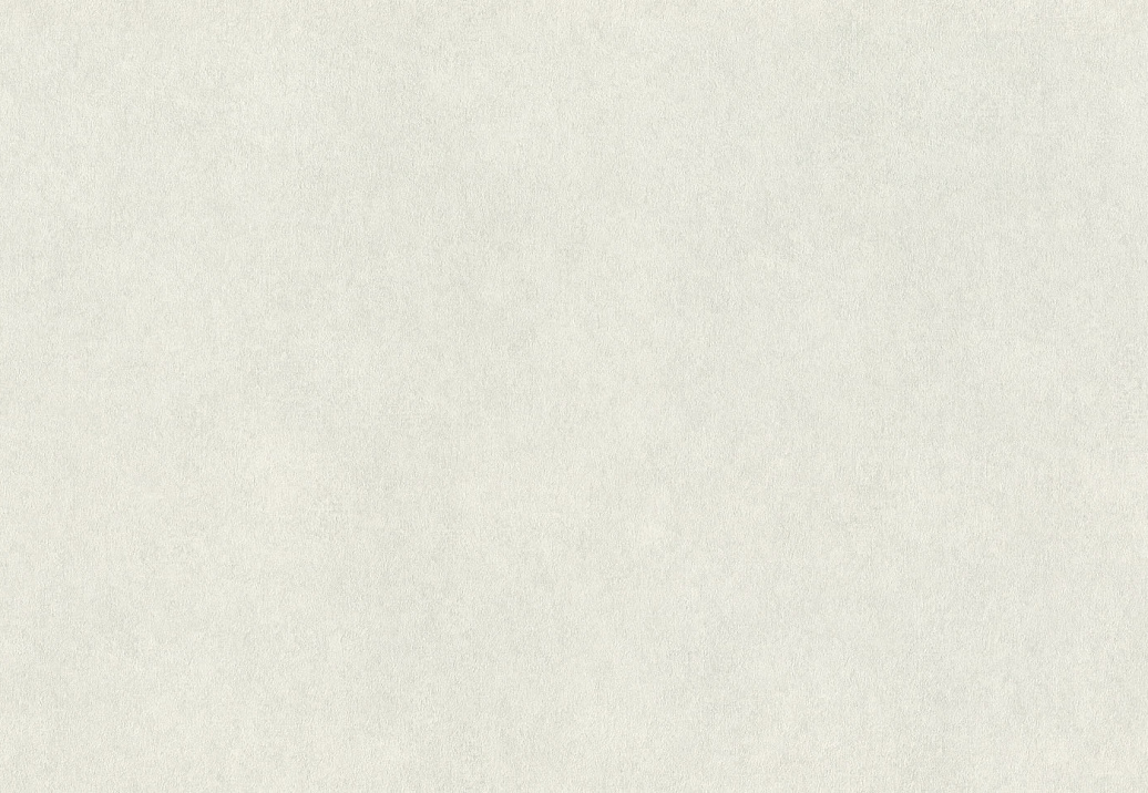Обои Rasch Wall Textures XL Vol3 957303