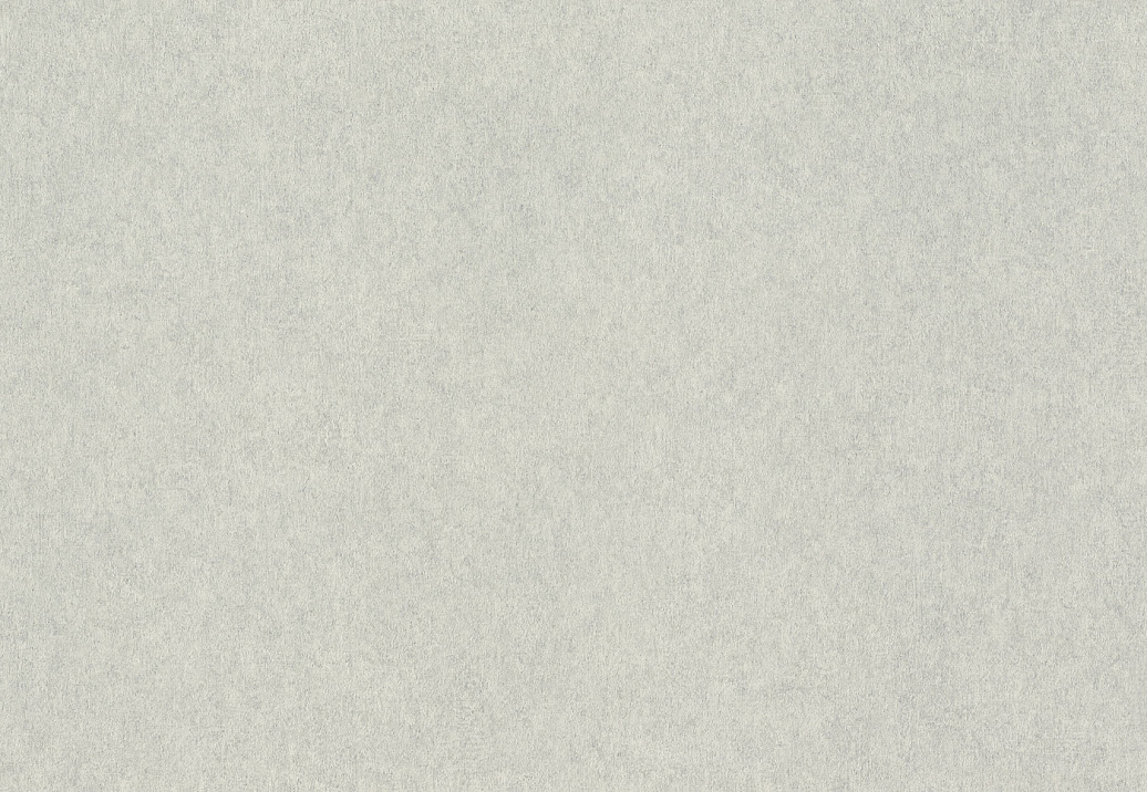 Обои Rasch Wall Textures XL Vol3 957310