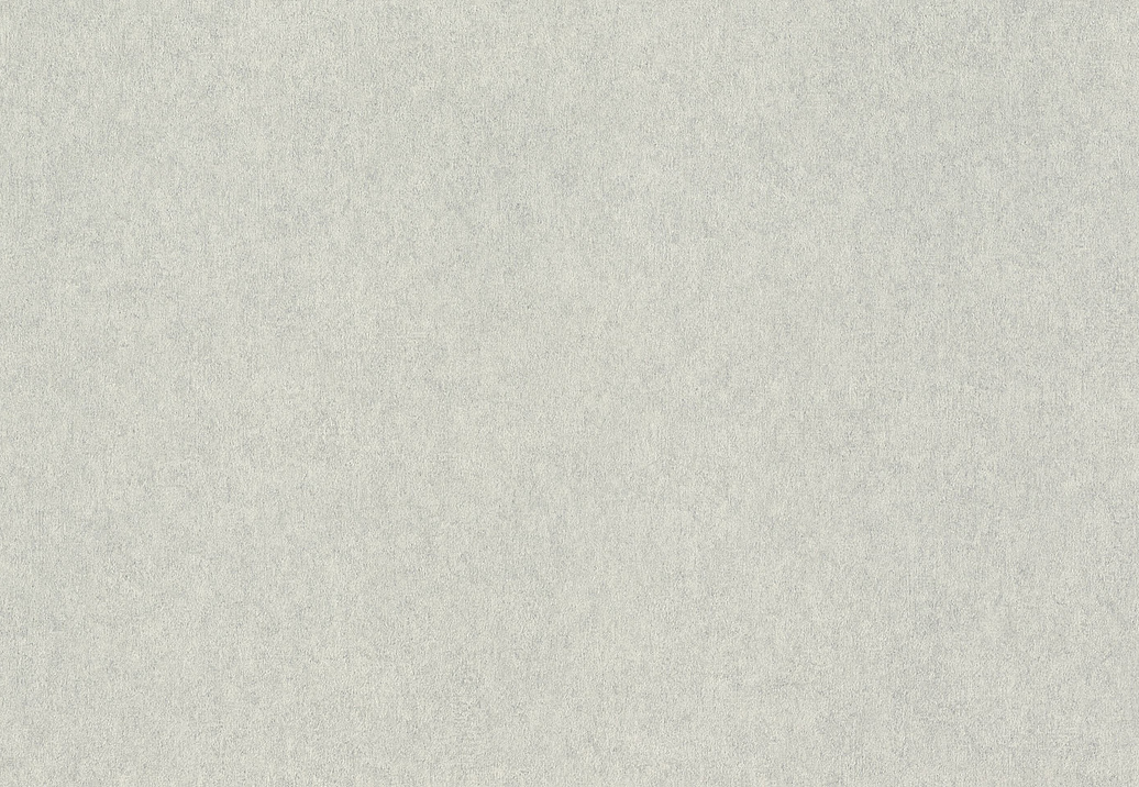 Обои Rasch Wall Textures XL Vol3 957310