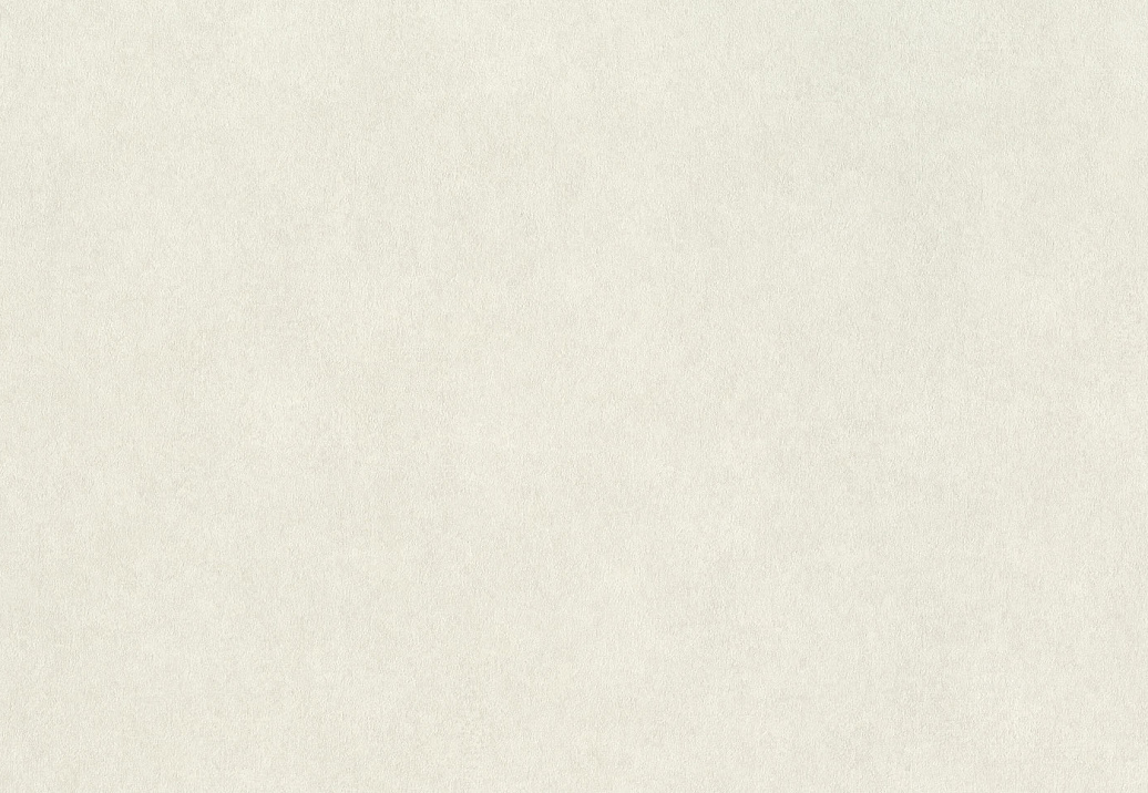 Обои Rasch Wall Textures XL Vol3 957327
