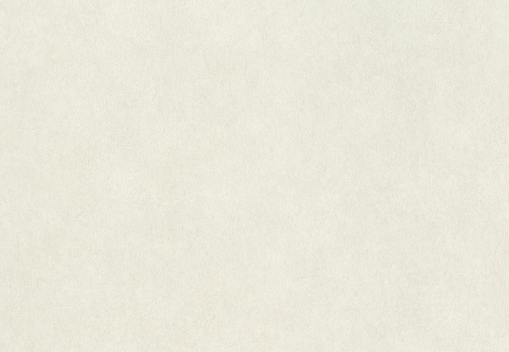 Обои Rasch Wall Textures XL Vol3 957327