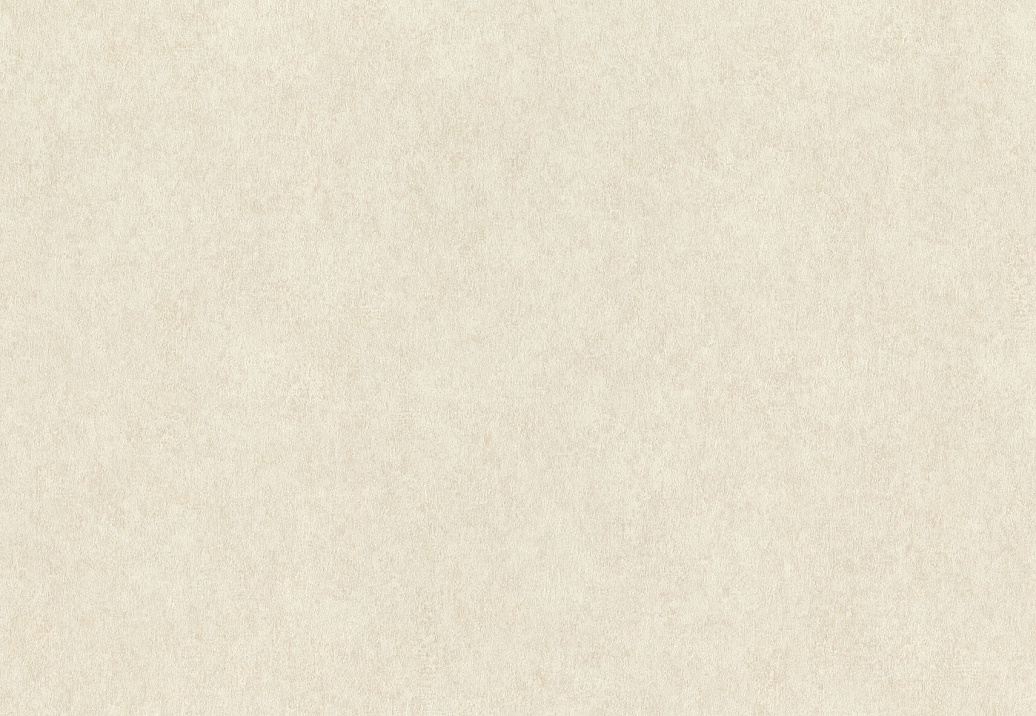 Обои Rasch Wall Textures XL Vol3 957334