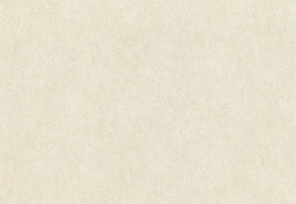 Обои Rasch Wall Textures XL Vol3 957334