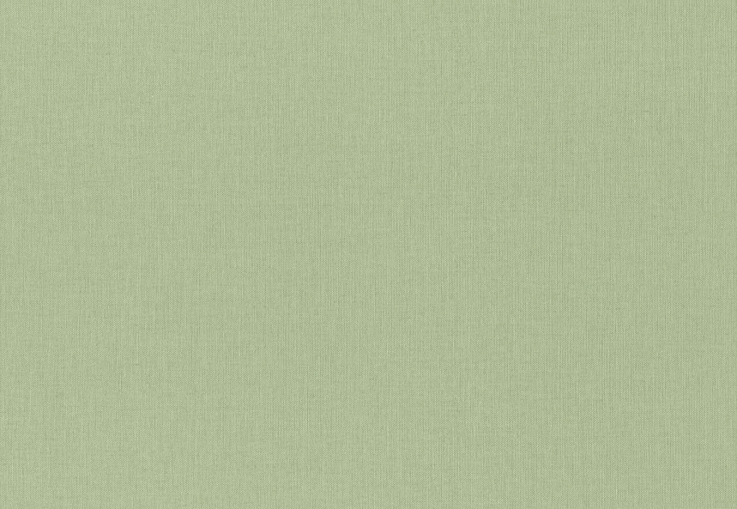 Обои Rasch Wall Textures XL Vol3 960716