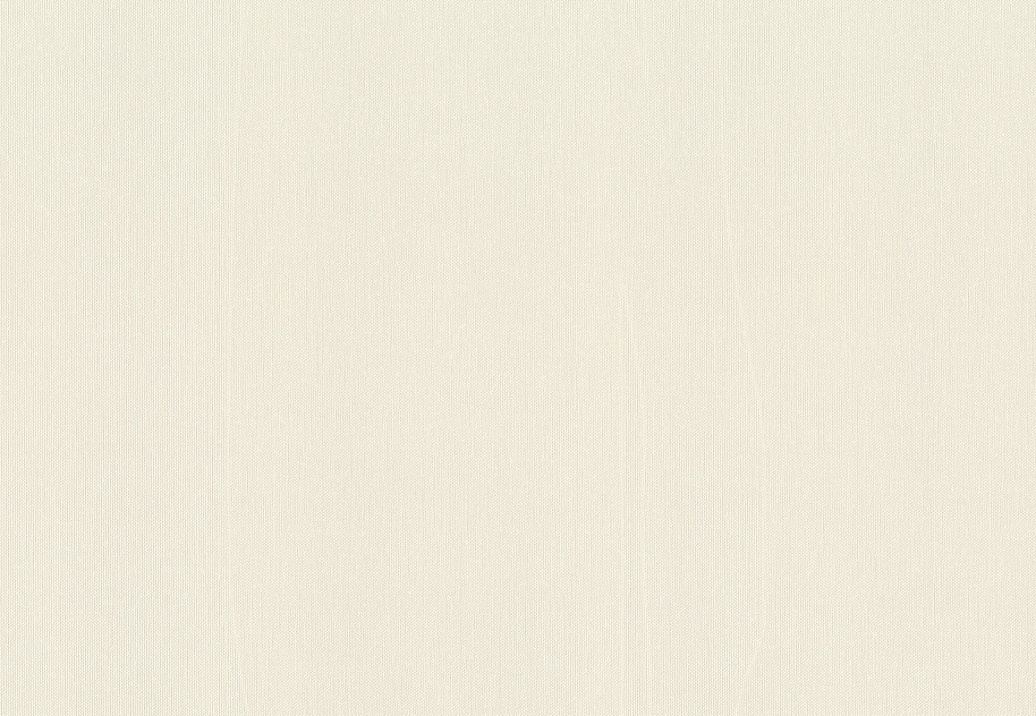 Обои Rasch Wall Textures XL Vol3 960747