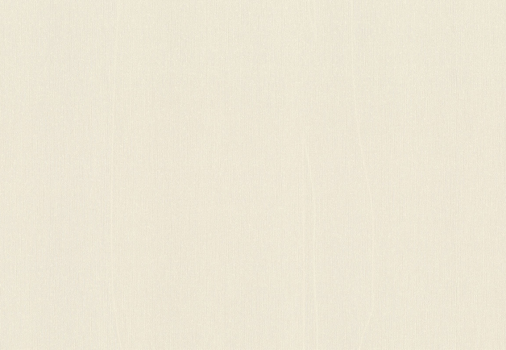 Обои Rasch Wall Textures XL Vol3 960754