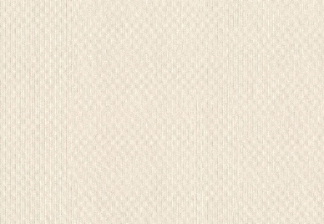 Обои Rasch Wall Textures XL Vol3 960761