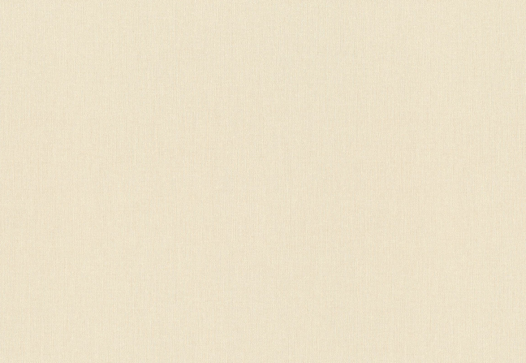 Обои Rasch Wall Textures XL Vol3 960778