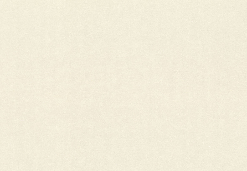 Обои Rasch Wall Textures XL Vol3 965001