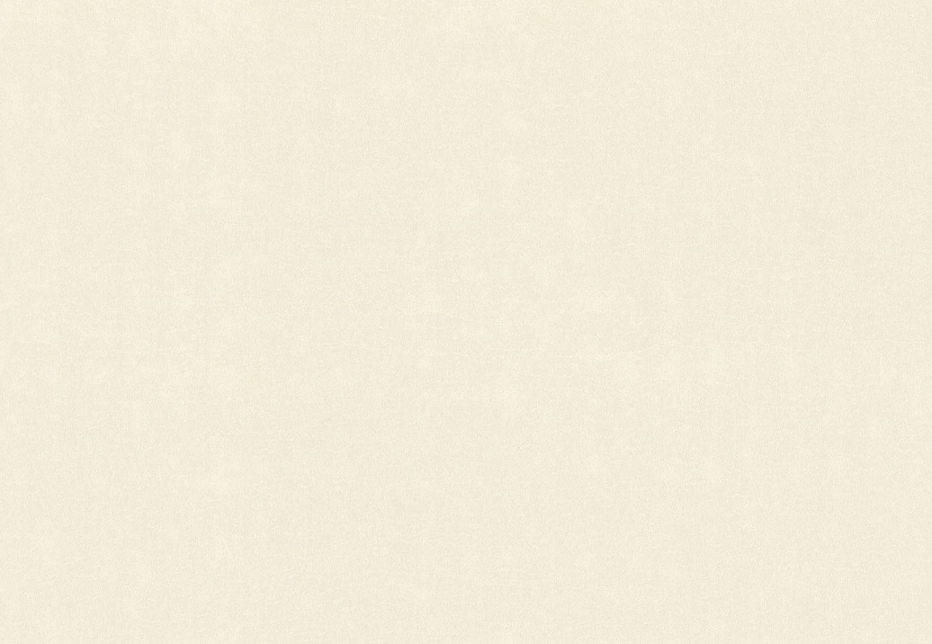 Обои Rasch Wall Textures XL Vol3 965001
