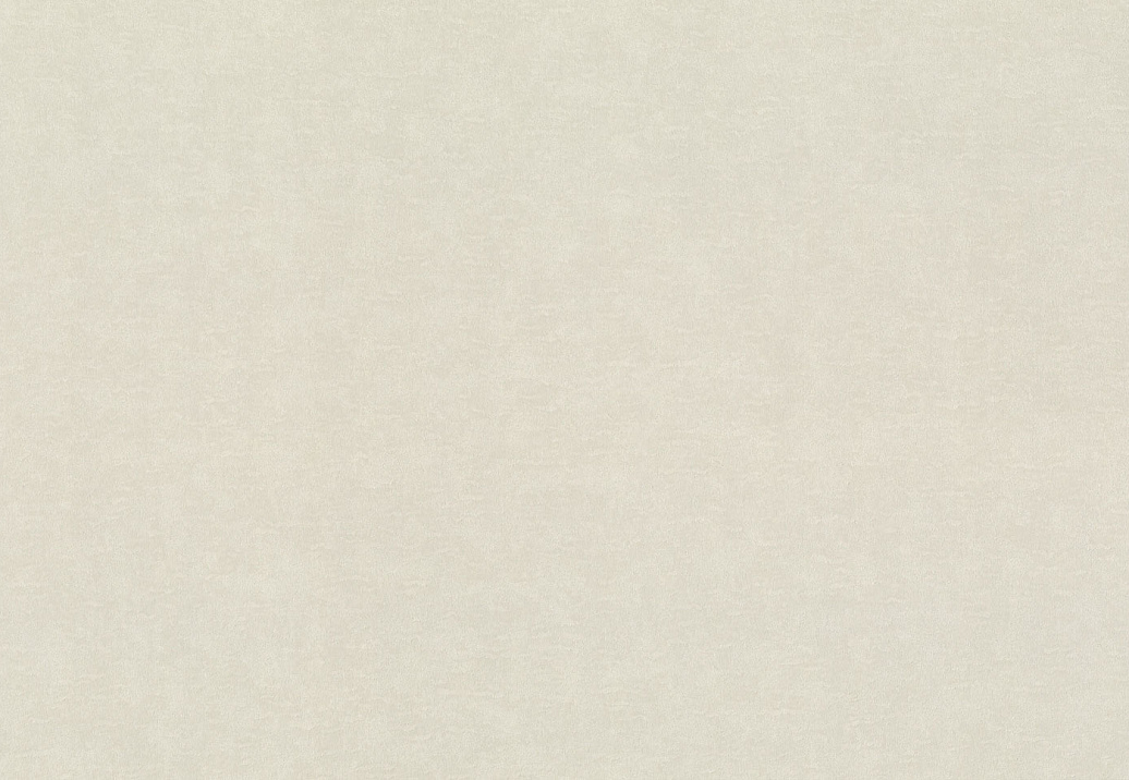 Обои Rasch Wall Textures XL Vol3 965025