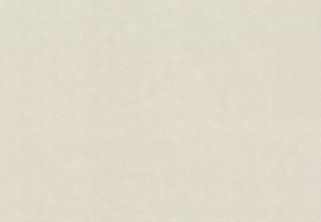 Обои Rasch Wall Textures XL Vol3 965025