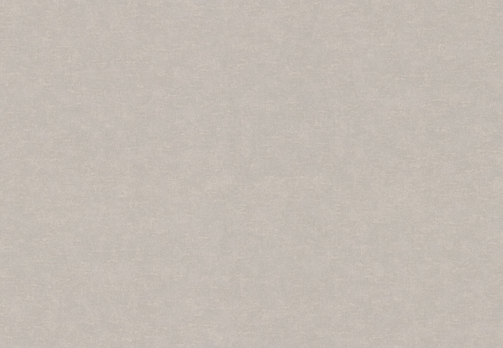 Обои Rasch Wall Textures XL Vol3 965032
