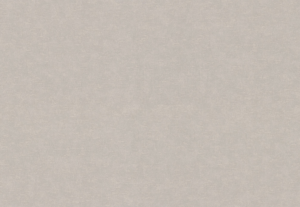 Обои Rasch Wall Textures XL Vol3 965032