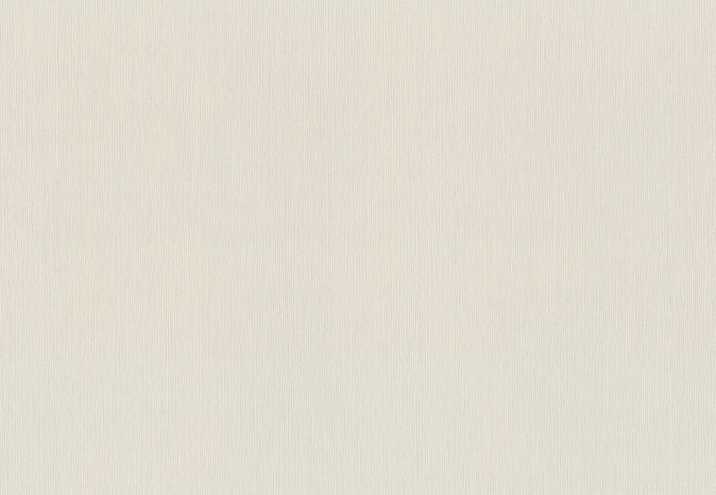 Обои Rasch Wall Textures XL Vol3 968521