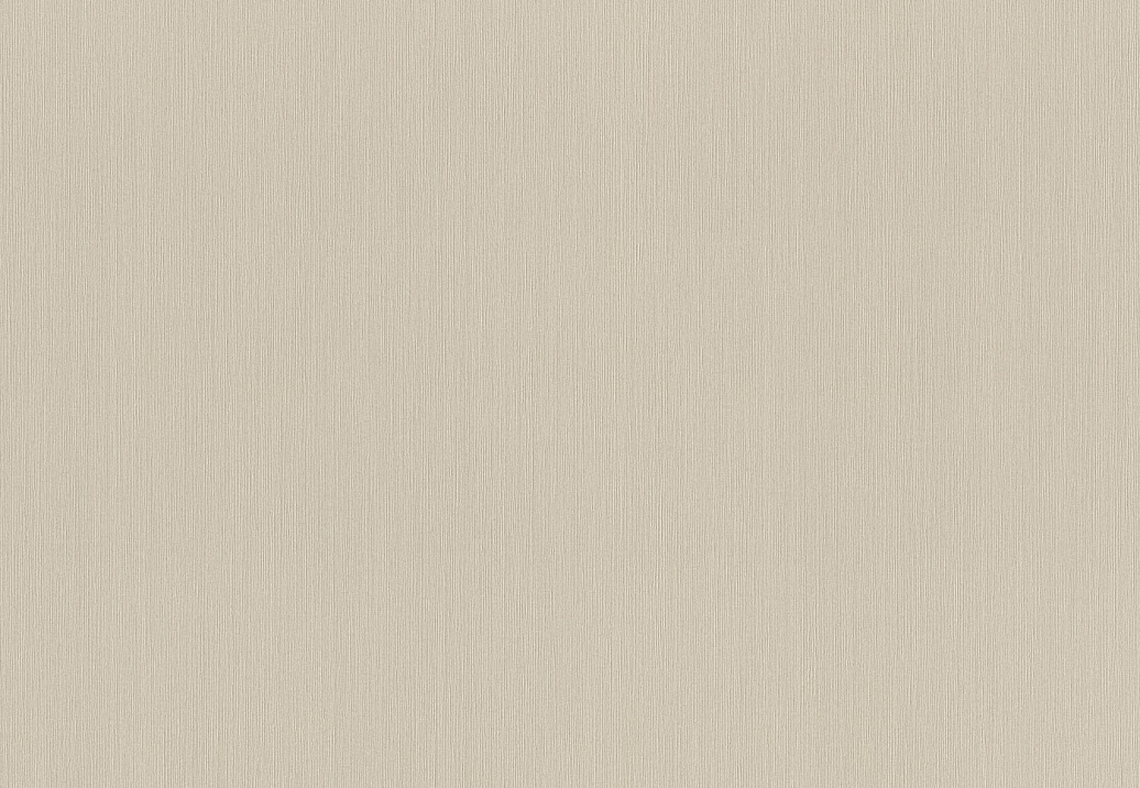 Обои Rasch Wall Textures XL Vol3 968569