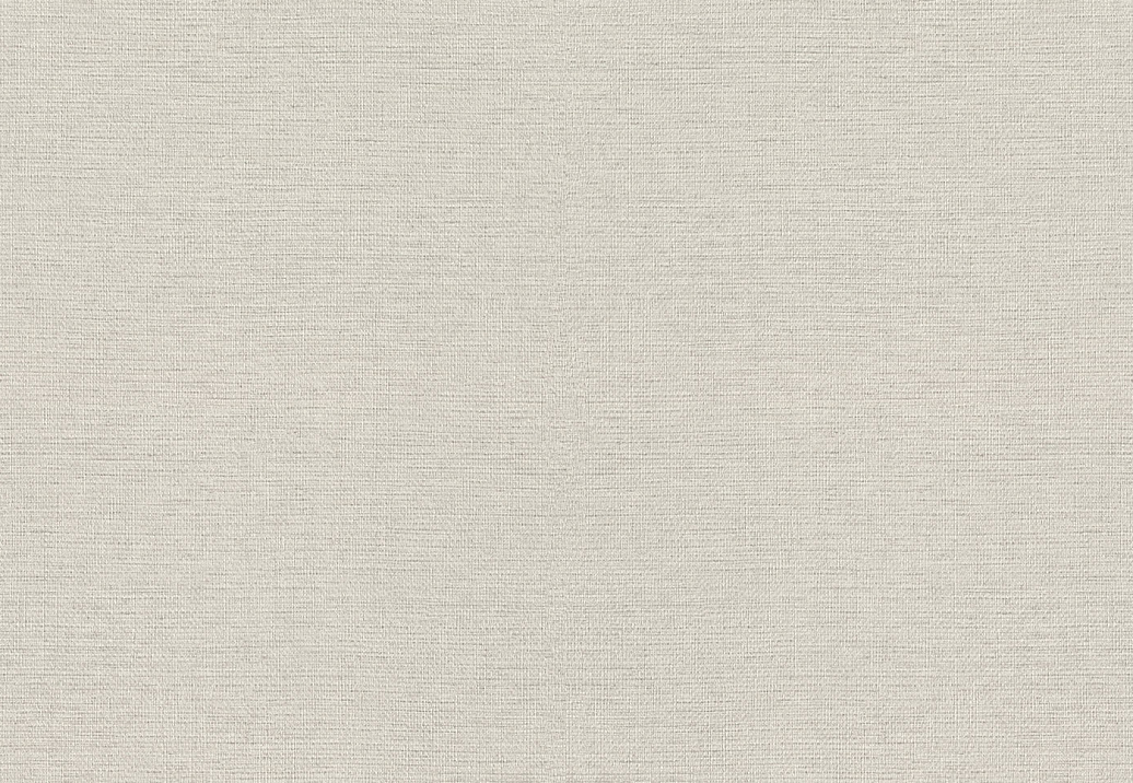 Обои Rasch Wall Textures XL Vol3 970623