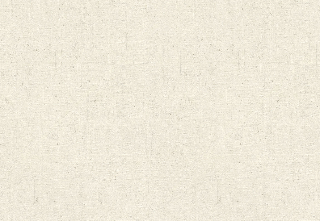 Обои Rasch Wall Textures XL Vol3 974201