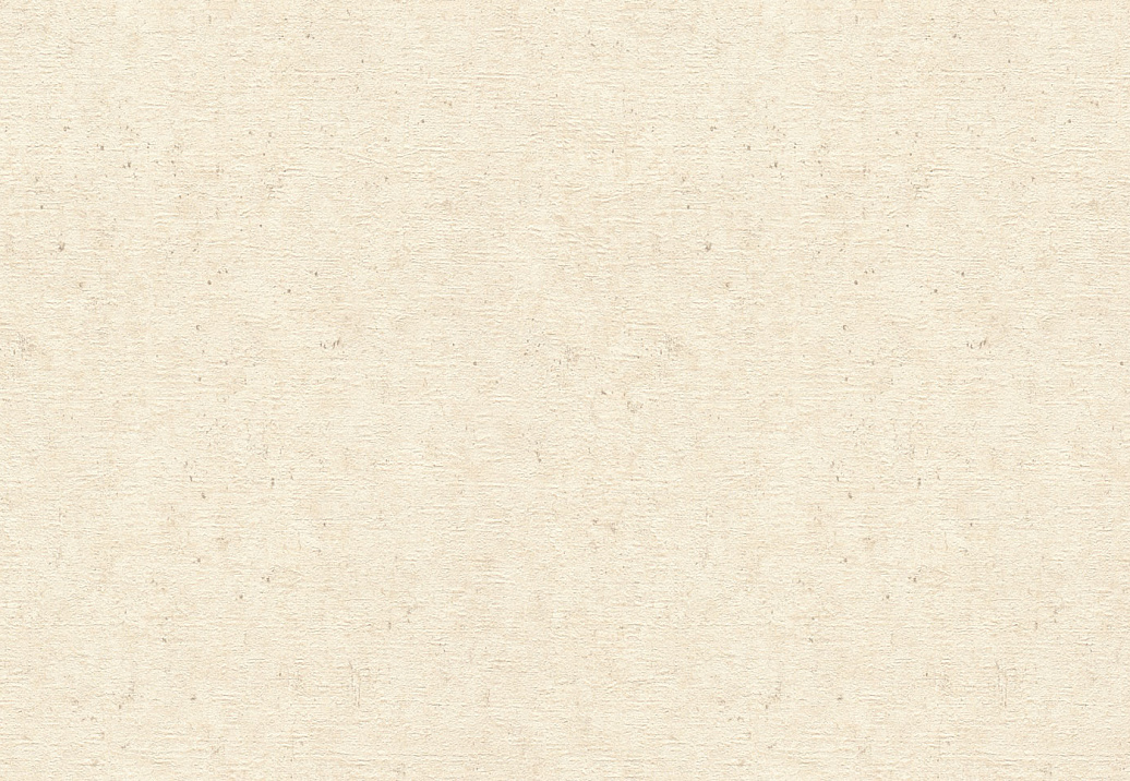 Обои Rasch Wall Textures XL Vol3 974218