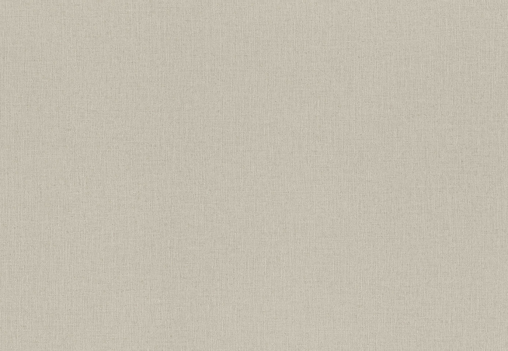 Обои Rasch Wall Textures XL Vol3 975505