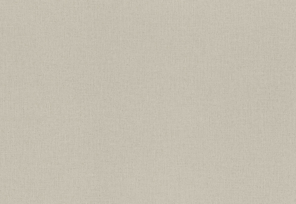 Обои Rasch Wall Textures XL Vol3 975505