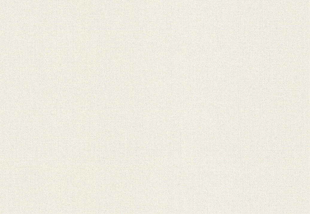 Обои Rasch Wall Textures XL Vol3 975512
