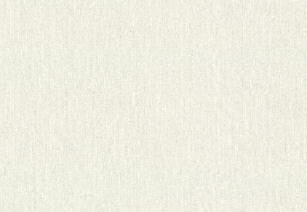 Обои Rasch Wall Textures XL Vol3 975512