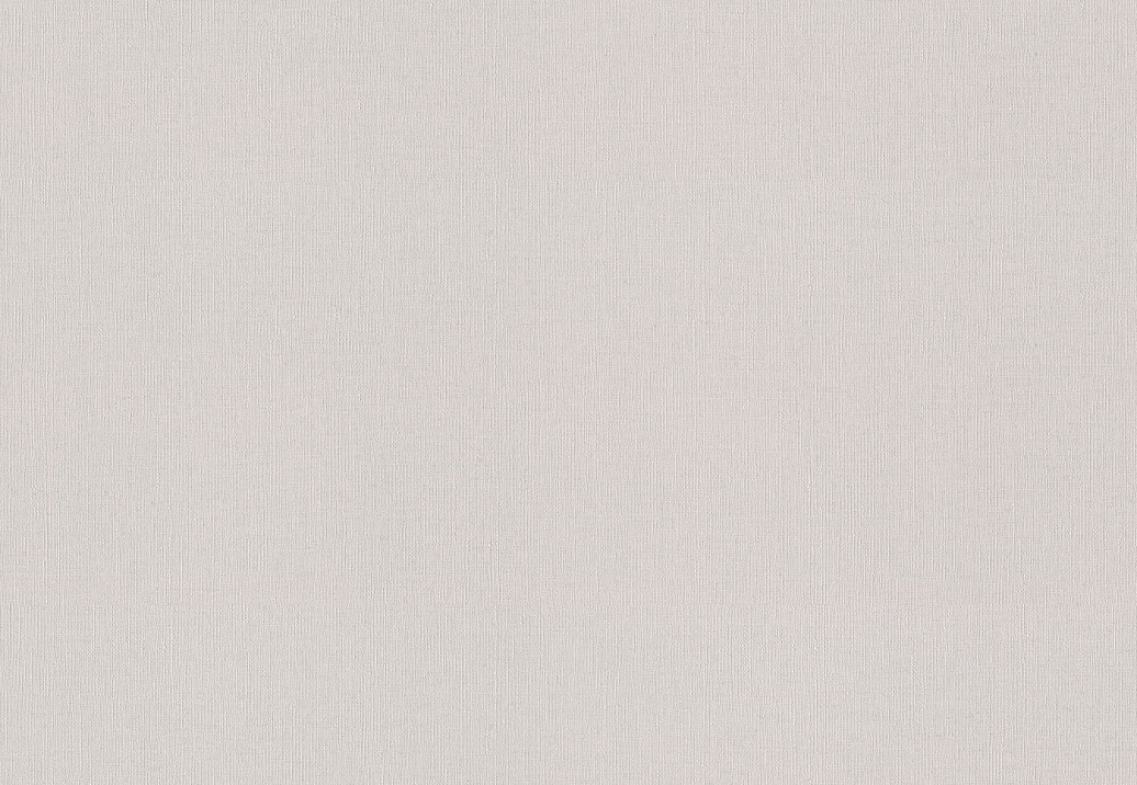 Обои Rasch Wall Textures XL Vol3 975529