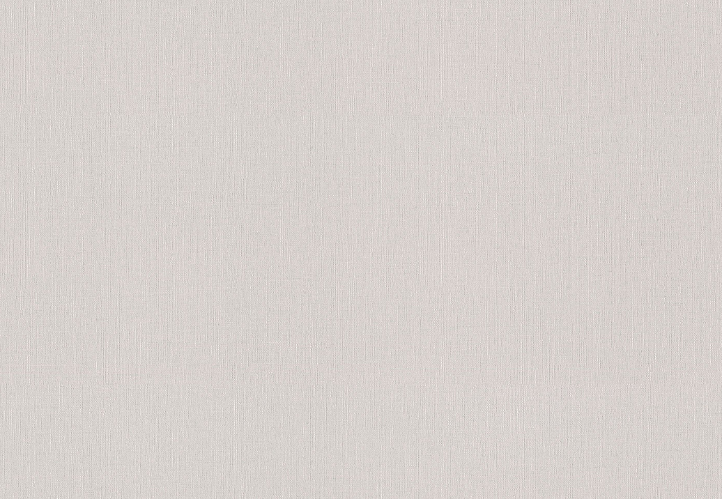 Обои Rasch Wall Textures XL Vol3 975529