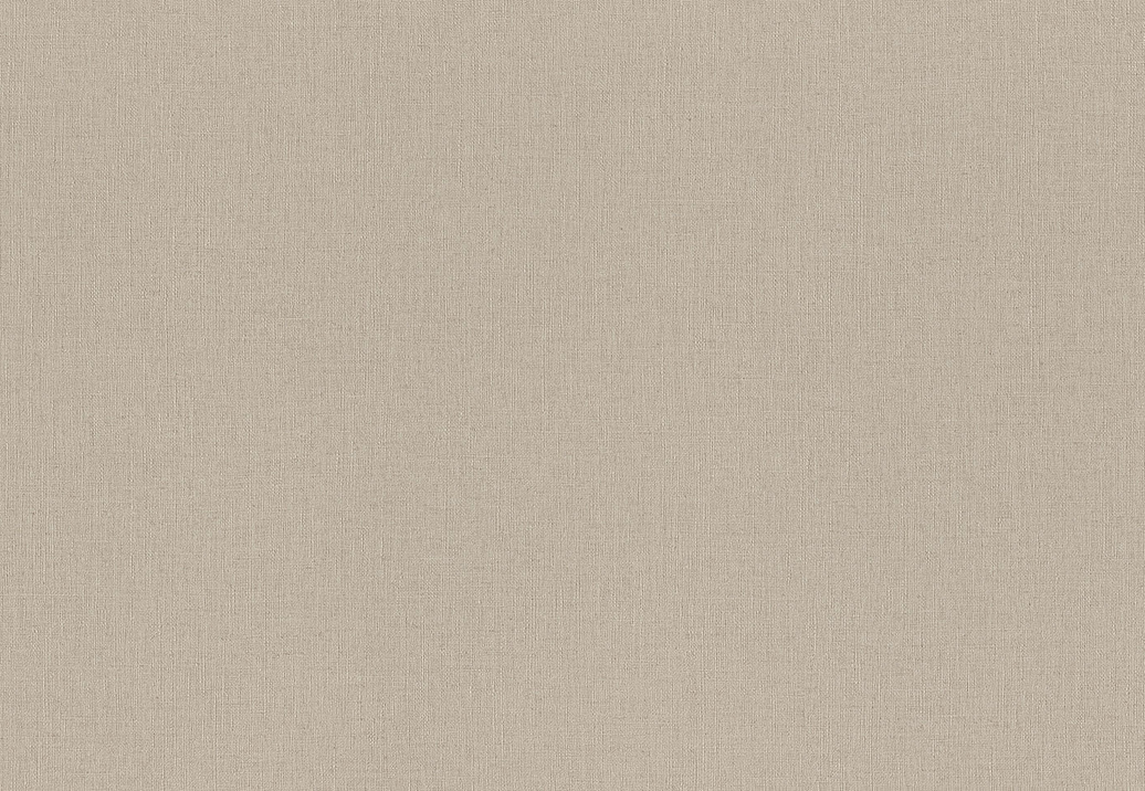 Обои Rasch Wall Textures XL Vol3 975550
