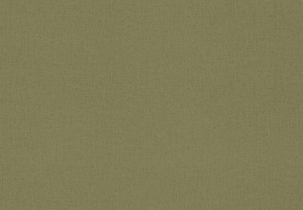 Обои Rasch Wall Textures XL Vol3 975598