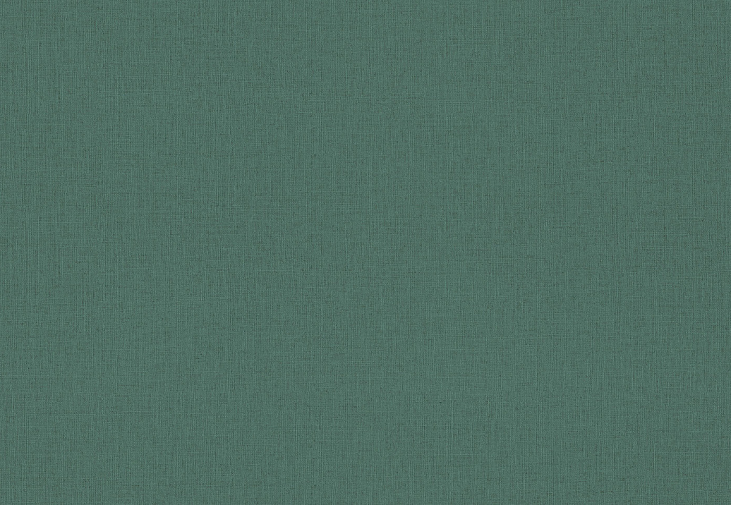 Обои Rasch Wall Textures XL Vol3 975628