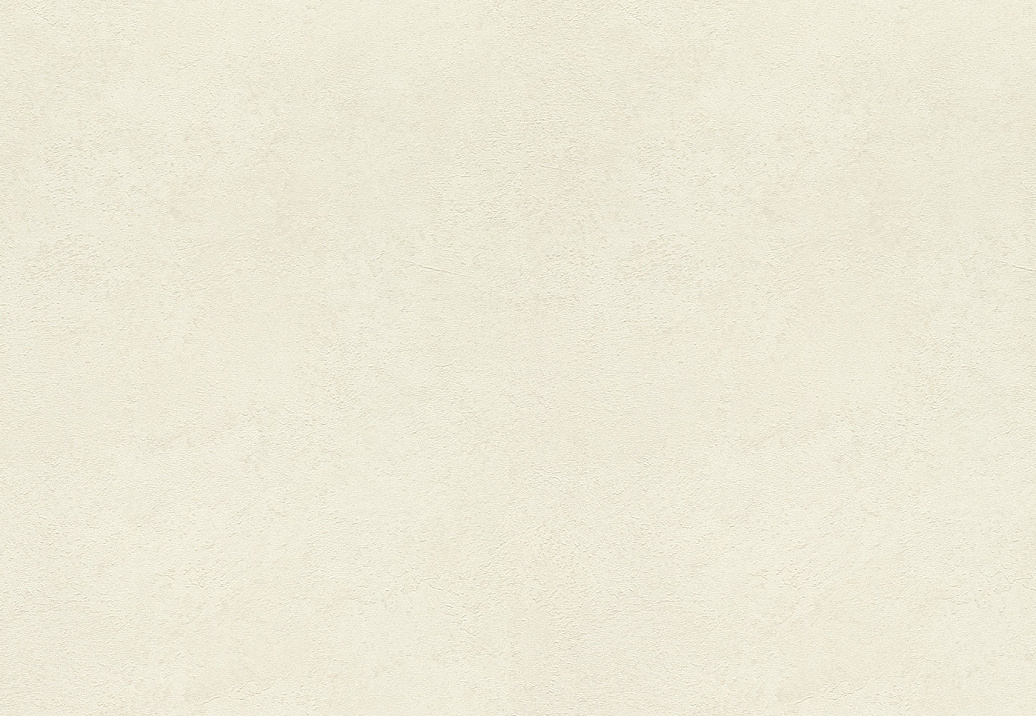 Обои Rasch Wall Textures XL Vol3 977103