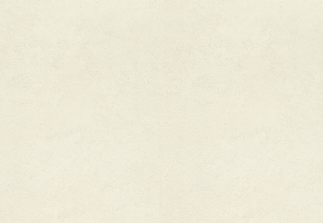 Обои Rasch Wall Textures XL Vol3 977103