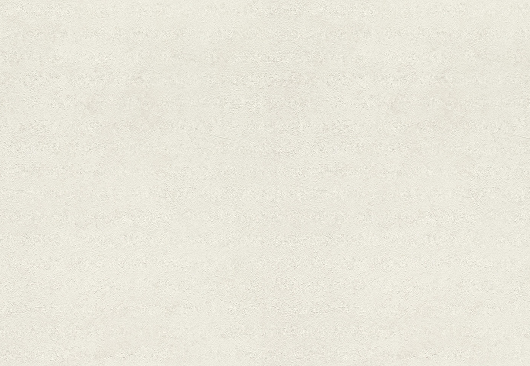 Обои Rasch Wall Textures XL Vol3 977110