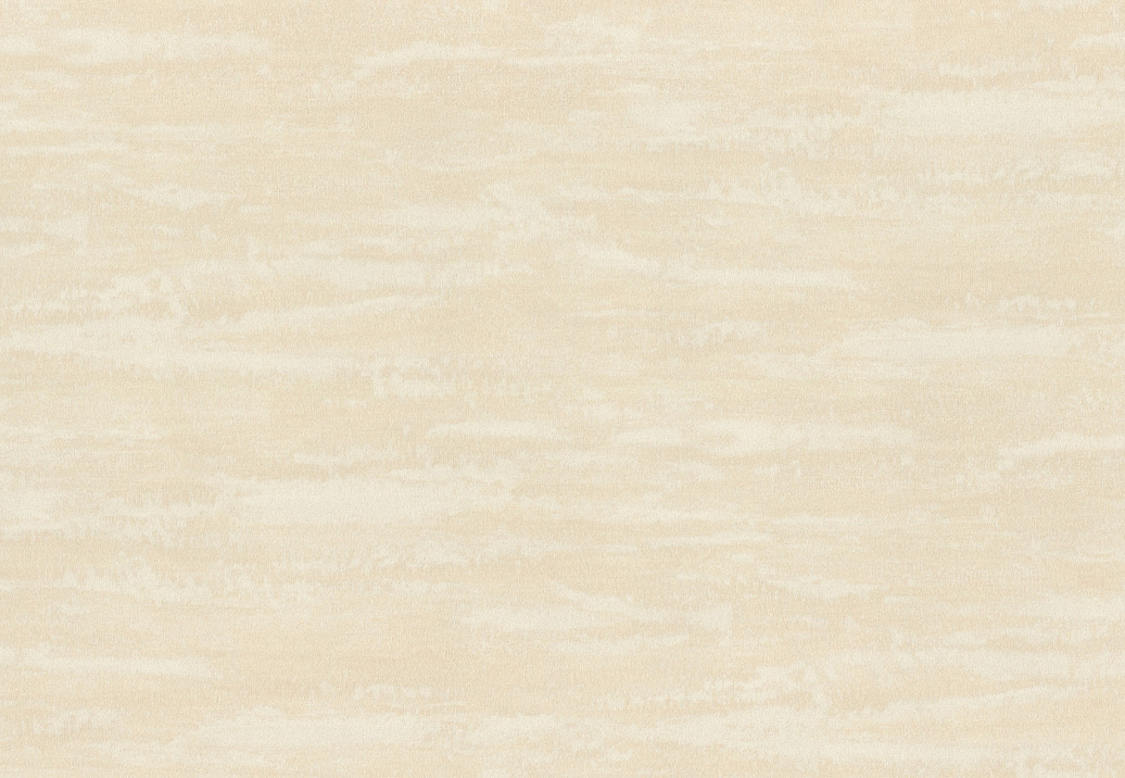 Обои Rasch Wall Textures XL Vol3 979114