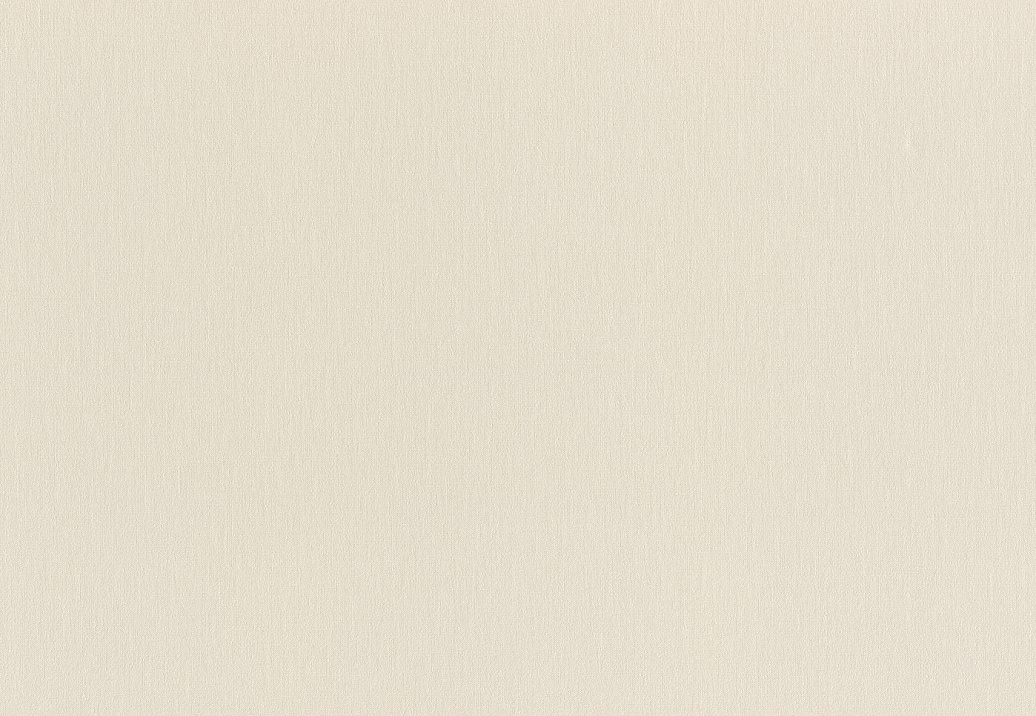 Обои Rasch Wall Textures XL Vol3 979343