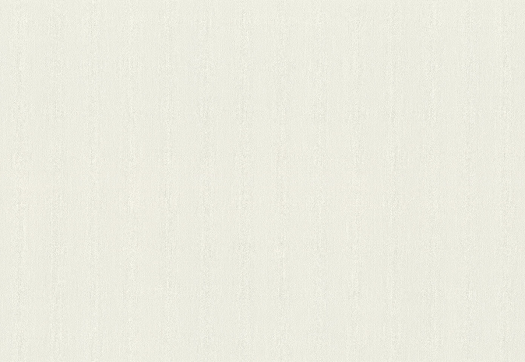 Обои Rasch Wall Textures XL Vol3 979350