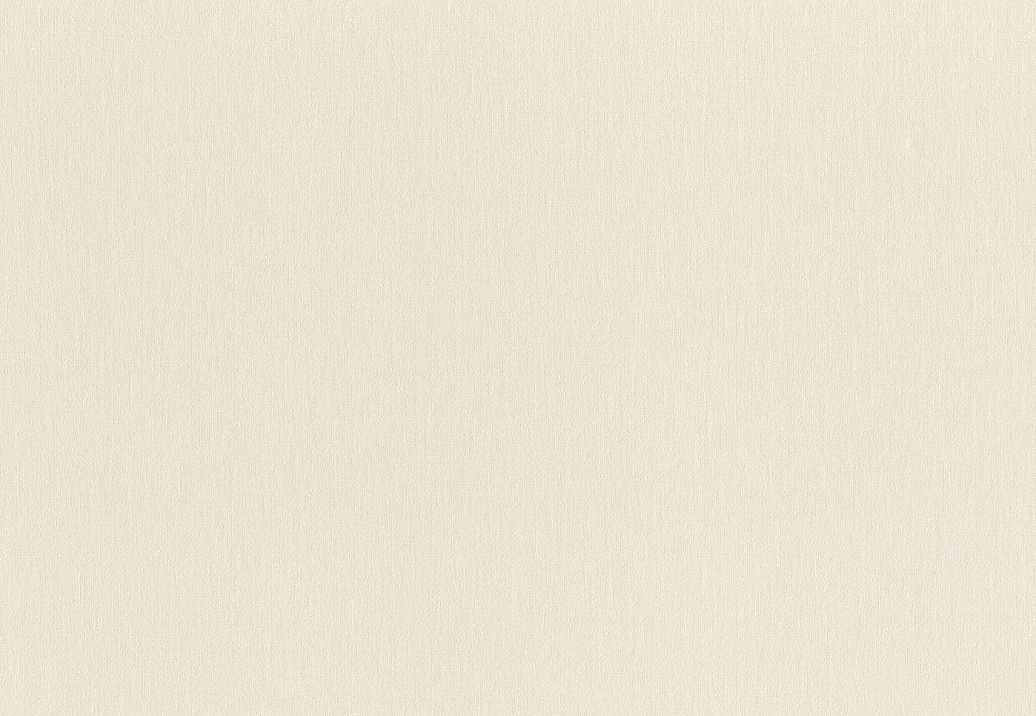Обои Rasch Wall Textures XL Vol3 979367