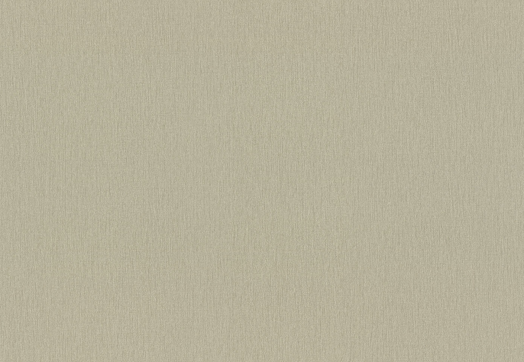 Обои Rasch Wall Textures XL Vol3 979381