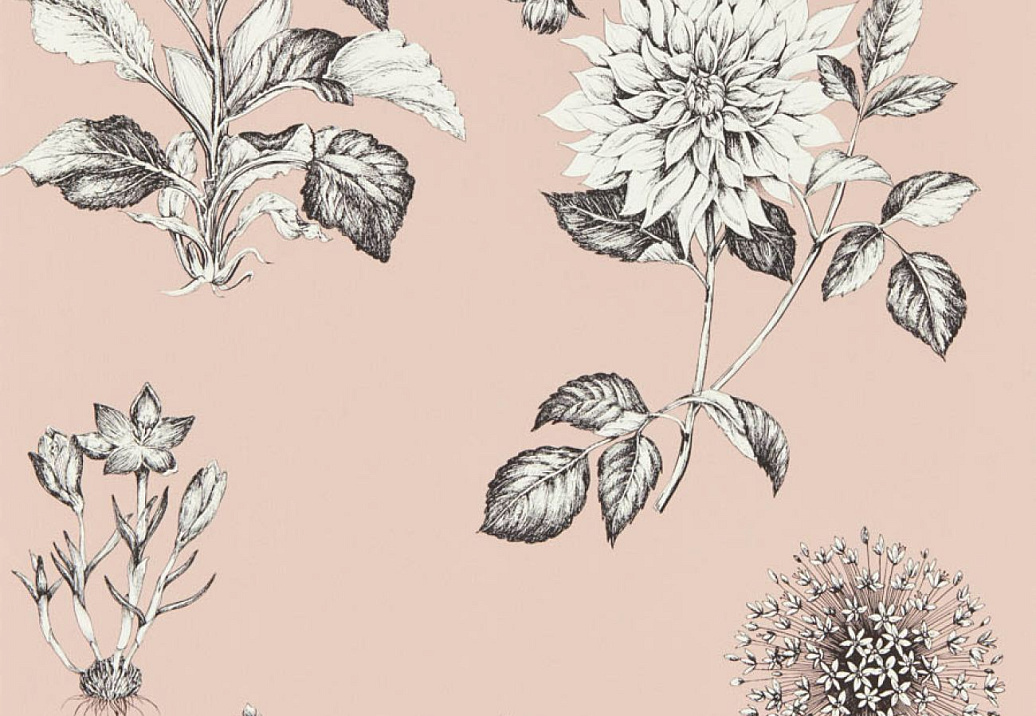 Обои Clarke & Clarke Secret Garden W0197/01
